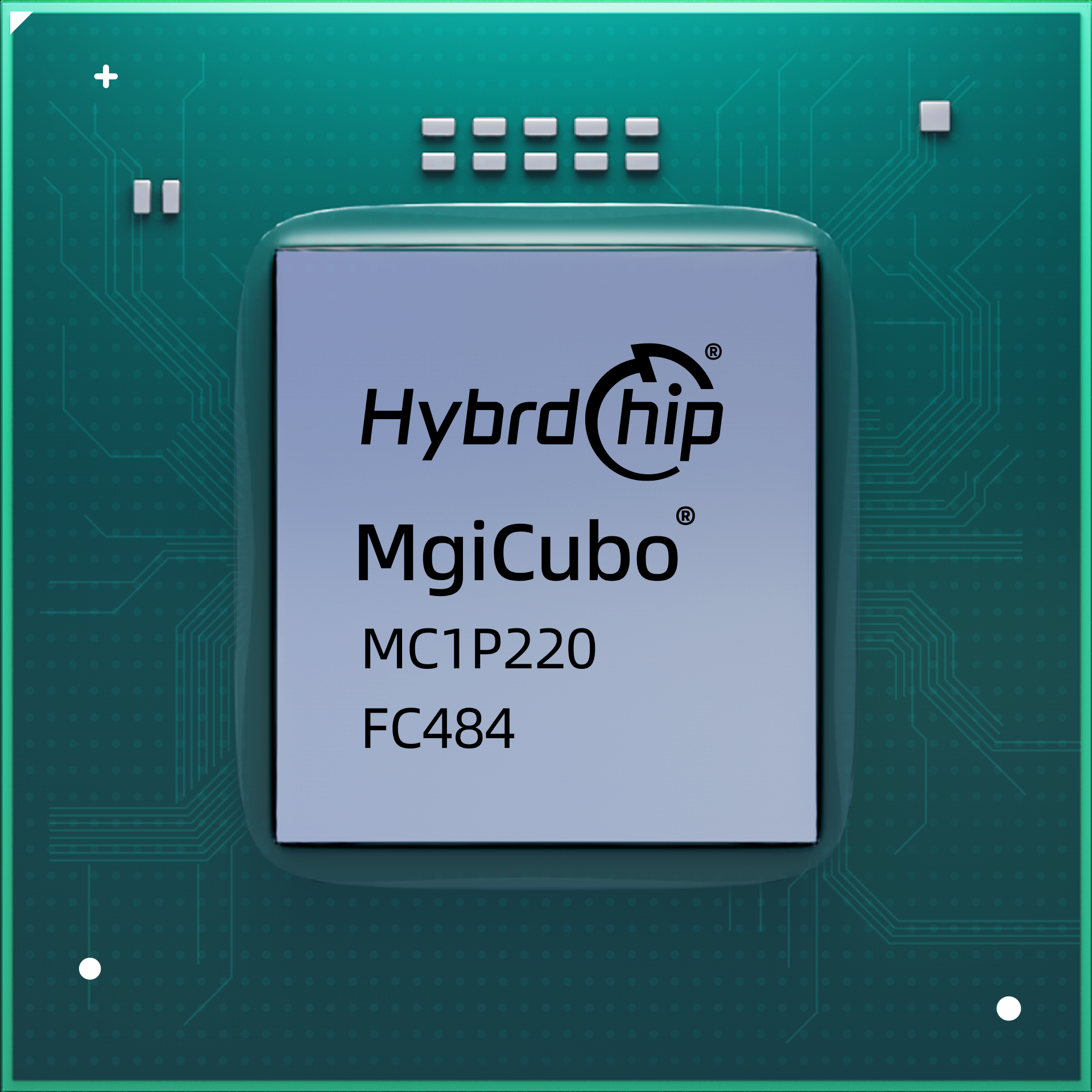 Mgicubo®系列FPGA产品【MC1P220FC484】-绿色-简约版亮色-浅色背景通用-中间晶体各异.png